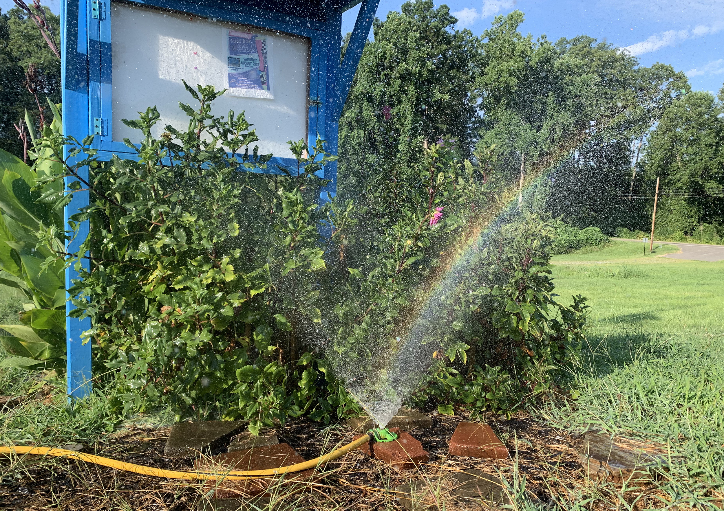 Water from a sprinkler at the entrance to the garden catches the light, creating a rainbow.