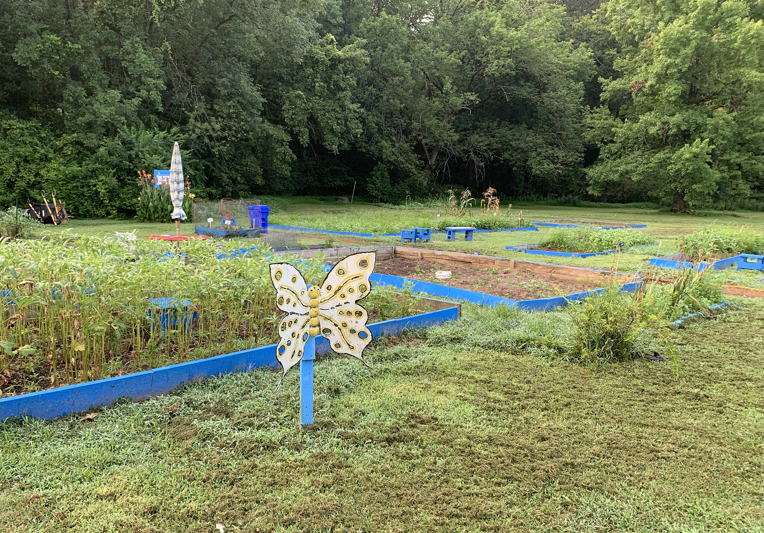 Full picture of local community garden.